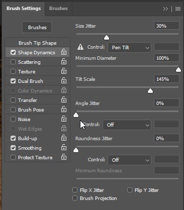 Brush Setting Shape Dynamics