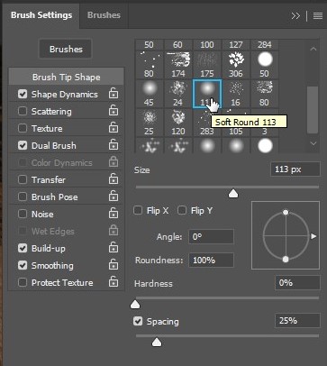 Brush Setting Soft Round 113