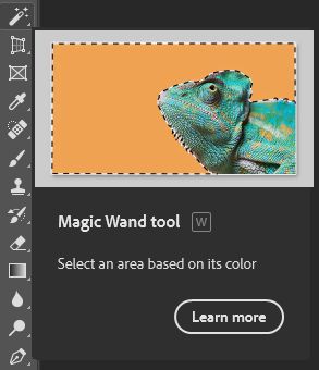 Magic Wand Tool