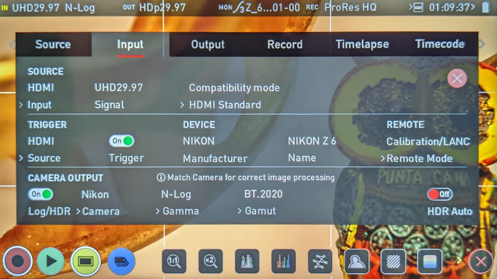 Atomos Input Setting