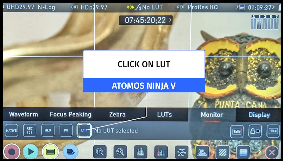 Atomos Luts